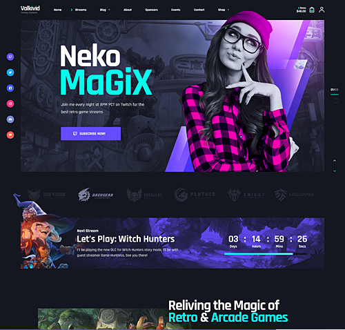 Gamer & Streamer